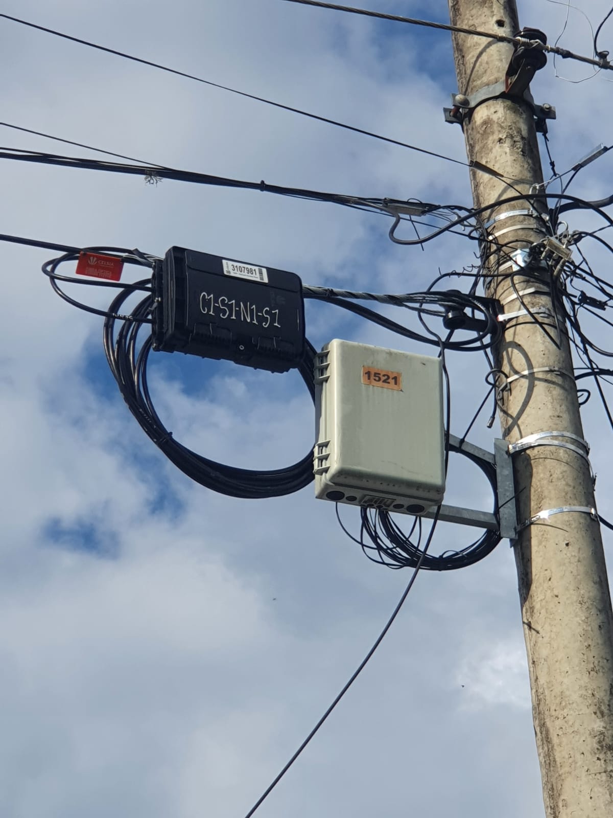 Verificación óptica