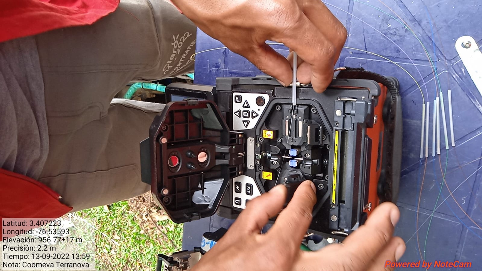 Verificación técnica